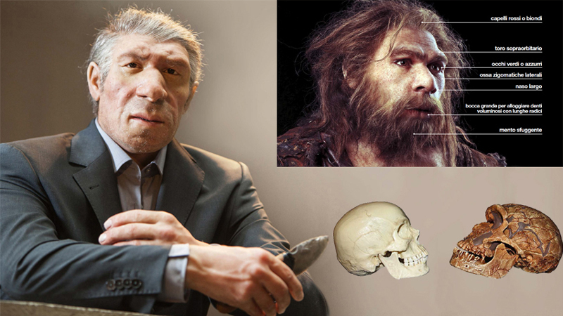 C’é un po’ di Neanderthal in ciascuno di noi